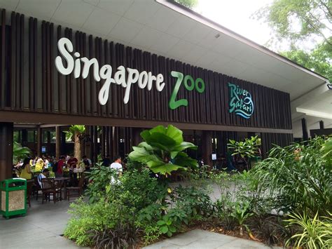 singapore zoo and mandai zoo